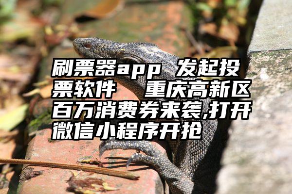 刷票器app 发起投票软件  重庆高新区百万消费券来袭,打开微信小程序开抢