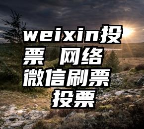 weixin投票 网络微信刷票  投票