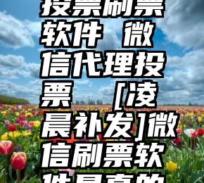 有验证码投票刷票软件 微信代理投票  [凌晨补发]微信刷票软件是真的吗