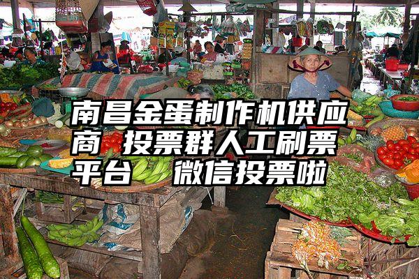 南昌金蛋制作机供应商 投票群人工刷票平台  微信投票啦