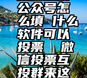微信投票公众号怎么填 什么软件可以投票  微信投票互投群来这里