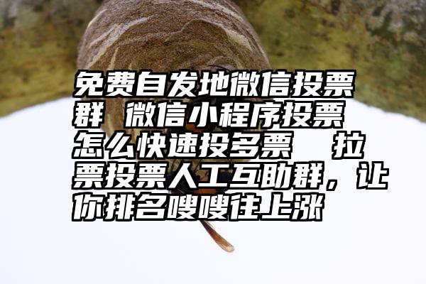 免费自发地微信投票群 微信小程序投票怎么快速投多票  拉票投票人工互助群，让你排名嗖嗖往上涨
