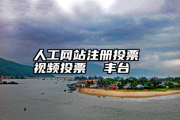 人工网站注册投票 视频投票 丰台