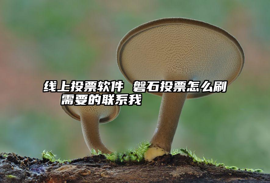 线上投票软件 磐石投票怎么刷  需要的联系我