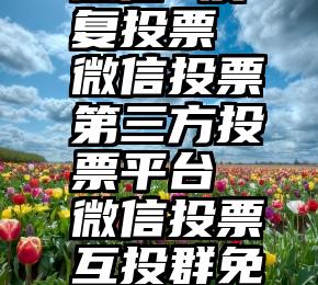 微信 反复投票 微信投票第三方投票平台  微信投票互投群免费进