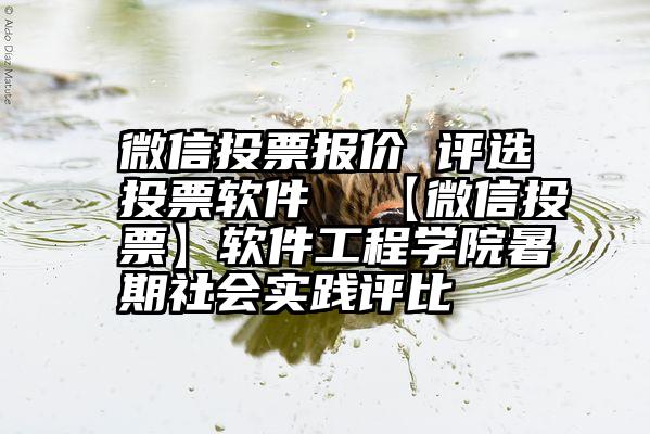 微信投票报价 评选投票软件  【微信投票】软件工程学院暑期社会实践评比