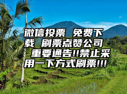 微信投票 免费下载 刷票点赞公司  重要通告!!禁止采用一下方式刷票!!!