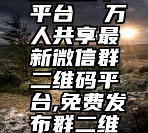 手机微信投票安全吗 微信投票放单平台  万人共享最新微信群二维码平台,免费发布群二维码,免费扫码加群.每天更新500+微信群